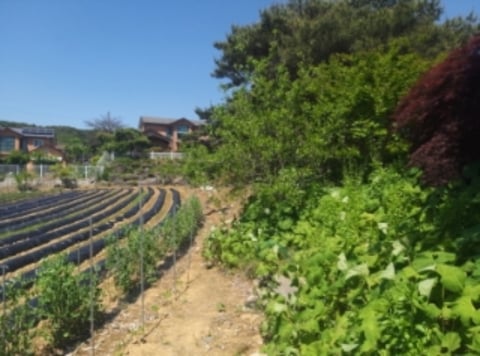 물건 사진 13