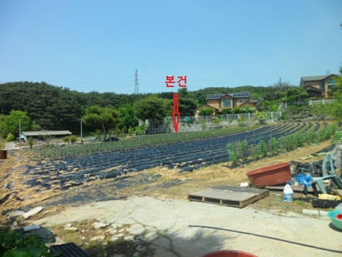 물건 사진 17