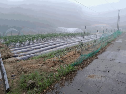 물건 사진 19