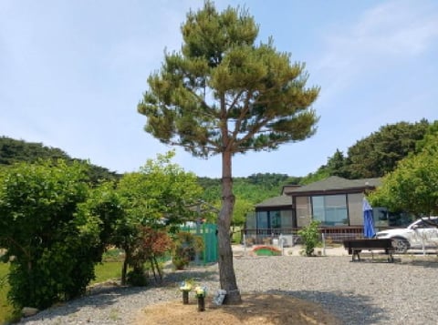 물건 사진 1