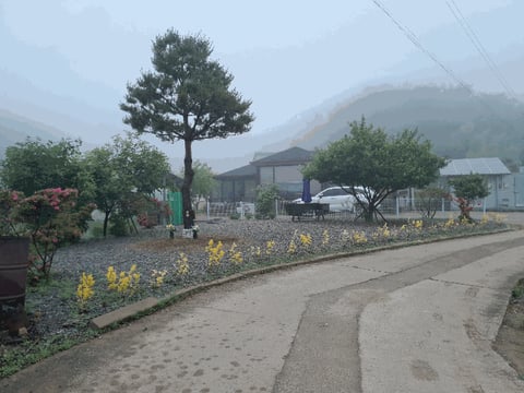 물건 사진 20