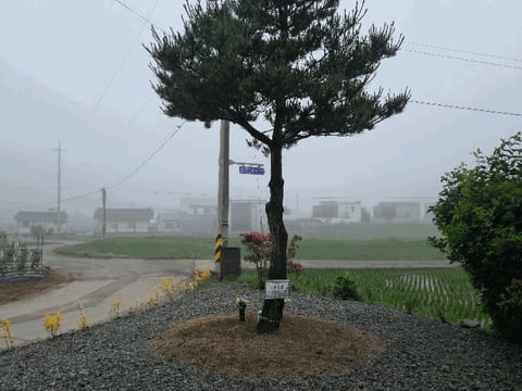 물건 사진 22