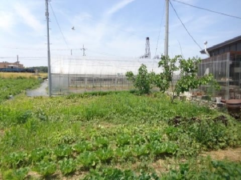 물건 사진 19