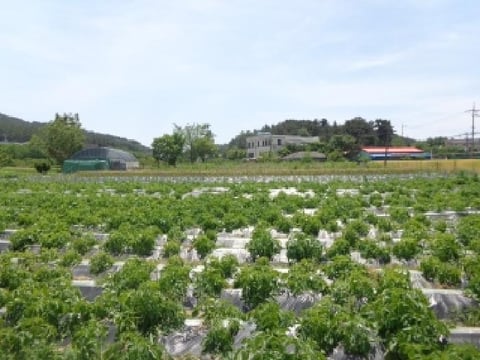 물건 사진 25