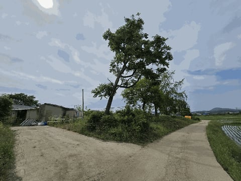 물건 사진 33