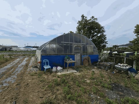 물건 사진 39