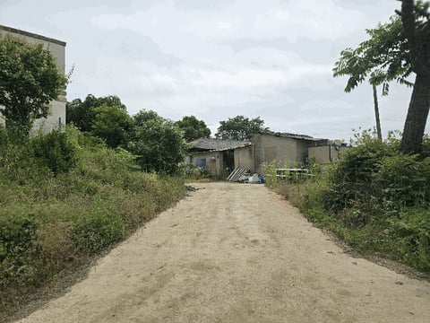 물건 사진 43