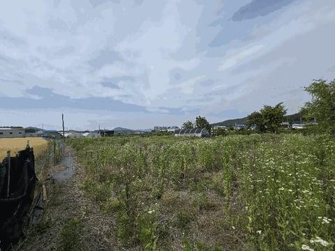물건 사진 45