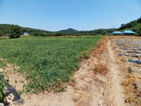 물건 사진 11