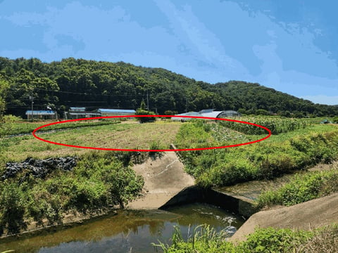 물건 사진 18