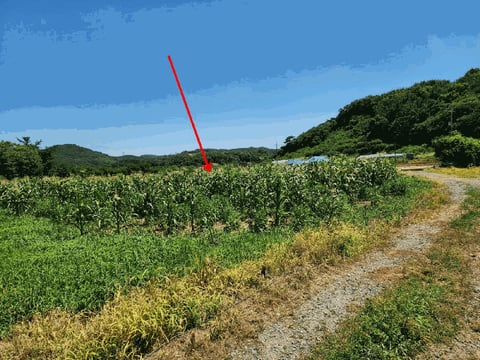 물건 사진 22