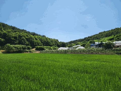 물건 사진 24