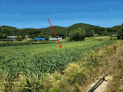 물건 사진 25