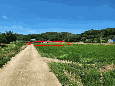 물건 사진 26