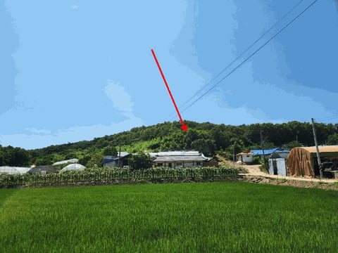 물건 사진 28