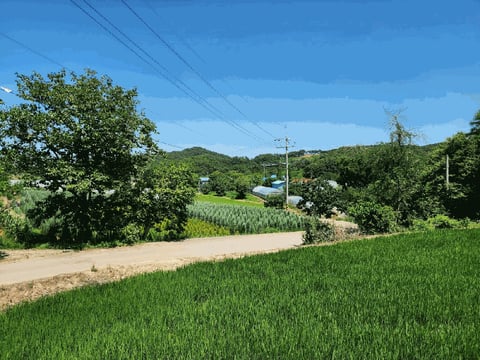 물건 사진 29