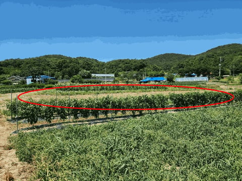 물건 사진 31