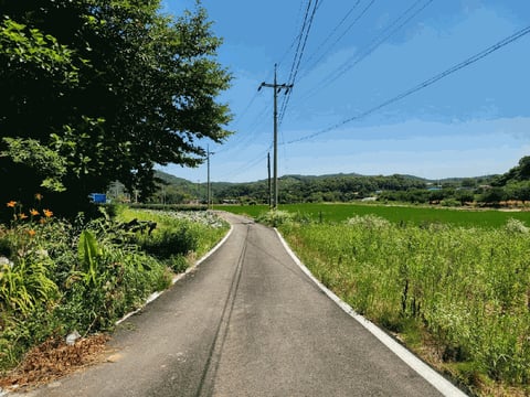 물건 사진 35