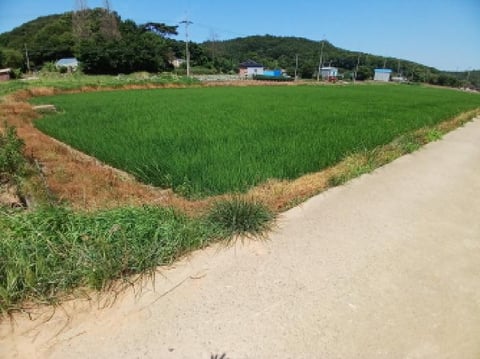물건 사진 8