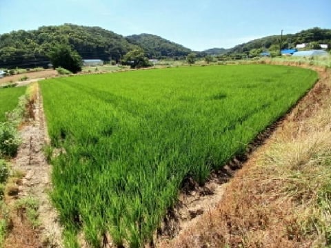 물건 사진 9