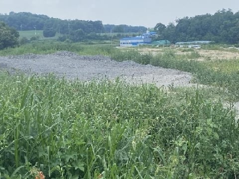 물건 사진 2