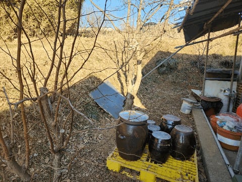 물건 사진 13