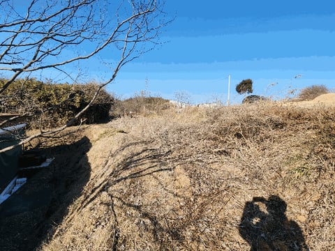 물건 사진 8