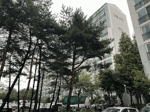 물건 사진 11
