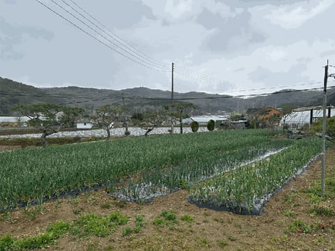 물건 사진 14