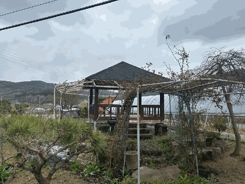 물건 사진 15