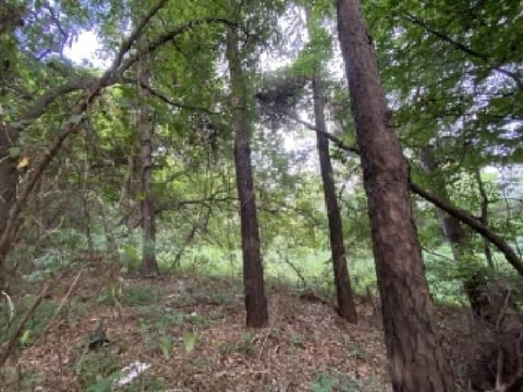 물건 사진 16
