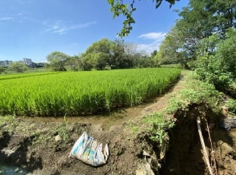 물건 사진 19
