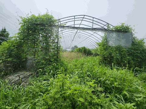 물건 사진 44