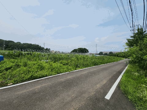 물건 사진 50