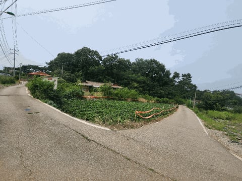 물건 사진 51