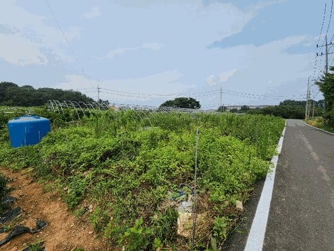 물건 사진 52