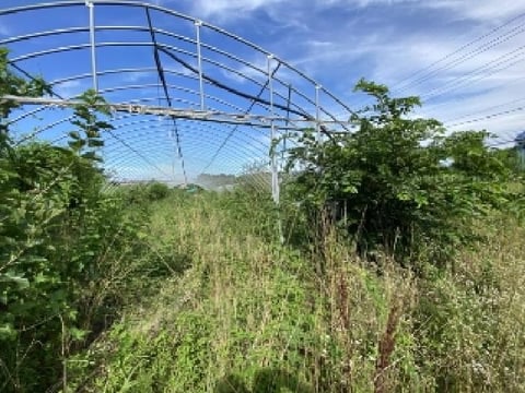 물건 사진 8