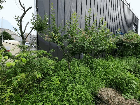 물건 사진 20