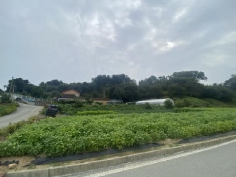 물건 사진 1