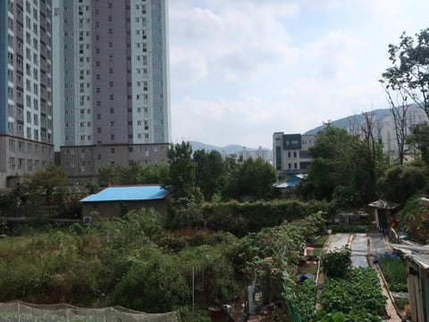 물건 사진 11