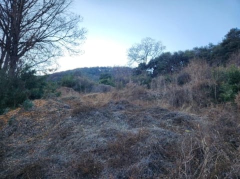 물건 사진 13