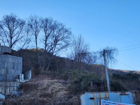 물건 사진 16