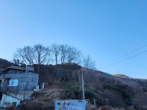 물건 사진 3