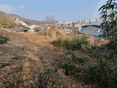 물건 사진 25
