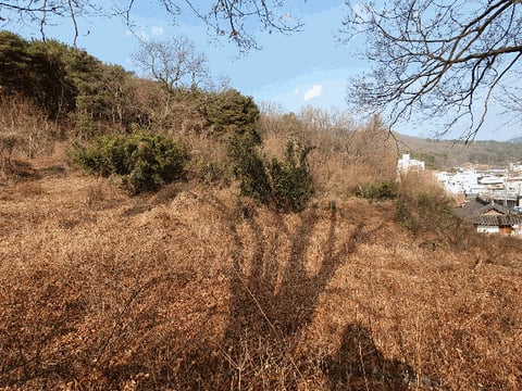 물건 사진 26