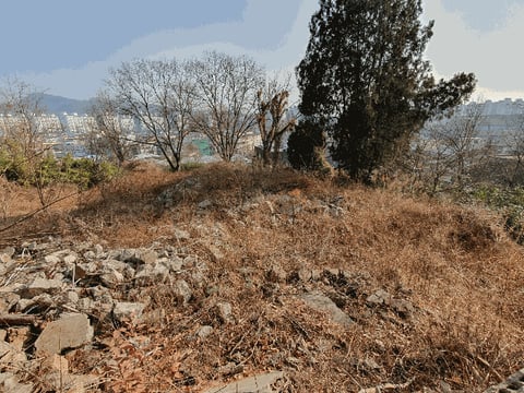 물건 사진 29