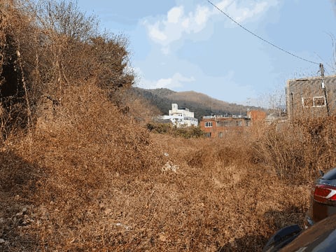 물건 사진 30