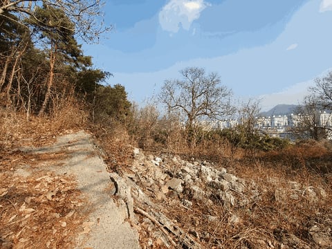 물건 사진 32