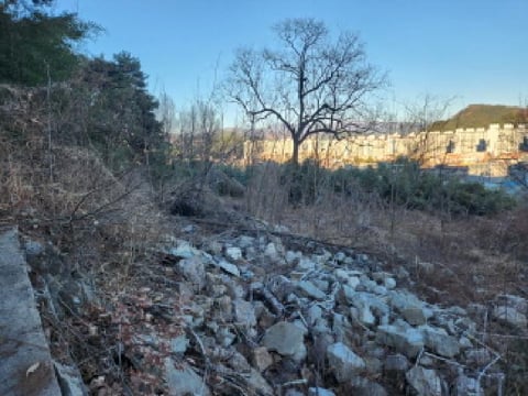 물건 사진 5