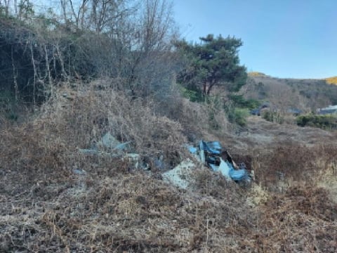 물건 사진 8